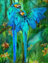 Blue African Parrots Pair